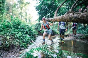 BIB: 
                            <button type="button" onclick="openModal(25442039)" class="btn btn-primary btn-sm float-right btn-popup" data-toggle="modal" data-target=".modal-high-quality">
                        <i class="fas fa-shopping-cart"></i> Add to Cart
                    </button>
                                            <button type="button" onclick="isThisMe(25442039, true)" class="btn btn-success btn-sm float-right btn-popup btn-isme hidden" data-toggle="tooltip" data-placement="bottom" title="นี่คือรูปของคุณใช่ไหม คลิกที่นี่เพื่อเอาเข้าอัลบั้ม">
                        <i class="fas fa-plus"></i> Add to album
                    </button>
                    <button type="button" onclick="isThisMe(25442039, false)" class="btn btn-warning btn-sm float-right btn-popup btn-isnotme hidden">
                        <i class="fas fa-ban"></i> Remove from album
                    </button>